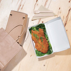  Fiesta Grandes bo&icirc;tes kraft avec couvercle &agrave; charni&egrave;re compostables Green 204mm (lot de 100) 