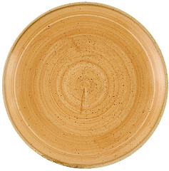  Churchill Assiettes avec rebord Stonecast Tangerine 217mm (Lot de 12) 