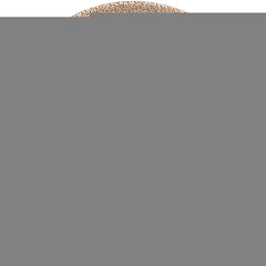  Churchill Assiettes rondes Studio Prints Raku Garnet Orange 210mm (Lot de 12) 
