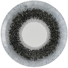  Churchill Assiettes rondes Studio Prints Fusion Black Evolve 220mm (Lot de 12) 