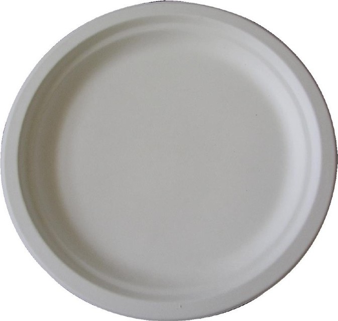  Fiesta Assiettes en bagasse compostables Green 26 cm (x50) 