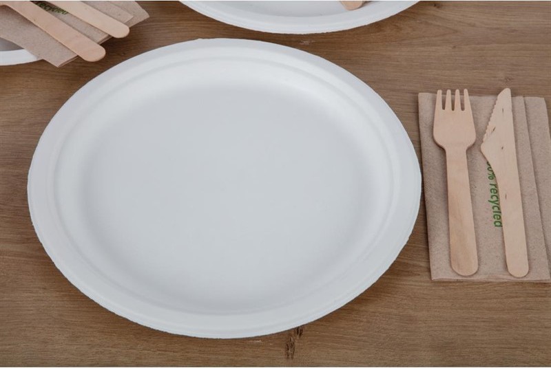  Fiesta Assiettes en bagasse compostables Green 26 cm (x50) 