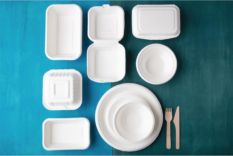  Fiesta Assiettes en bagasse compostables Green 17,9 cm (x50) 