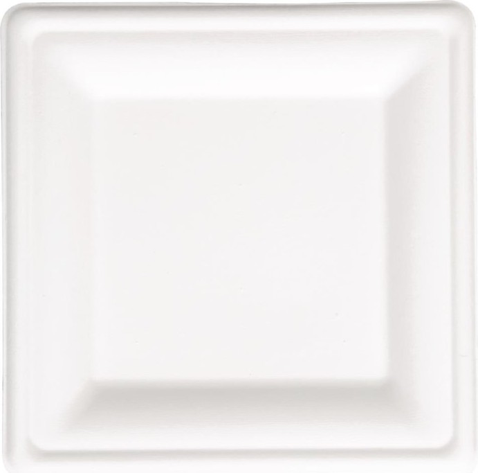  Fiesta Assiettes carr&eacute;es compostables en bagasse Green 261mm (lot de 50) 