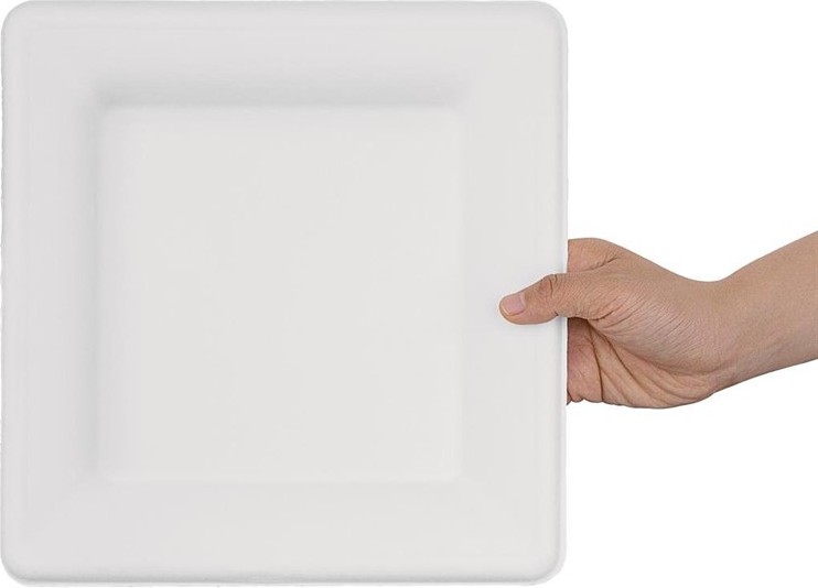  Fiesta Assiettes carr&eacute;es compostables en bagasse Green 261mm (lot de 50) 