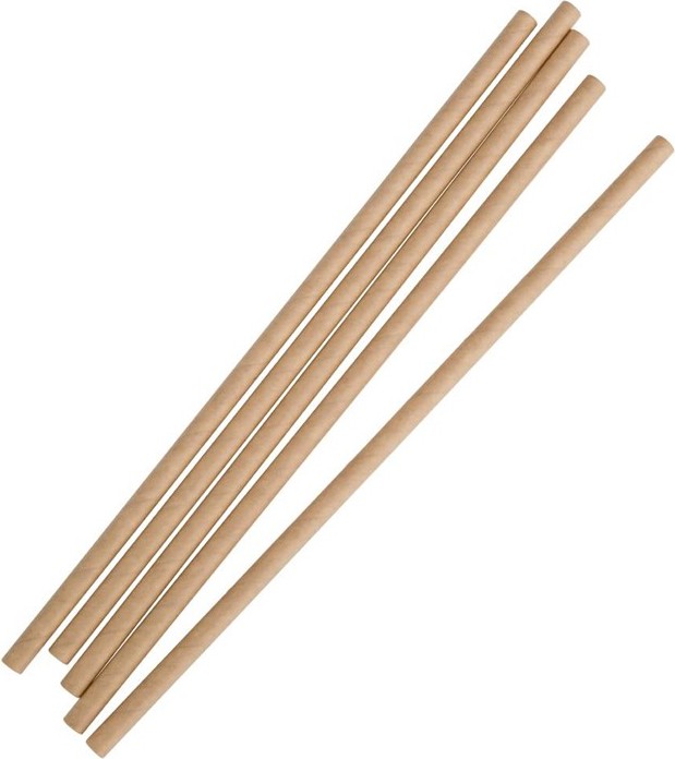 Fiesta Pailles compostables en papier kraft Compostable (lot de 250) 