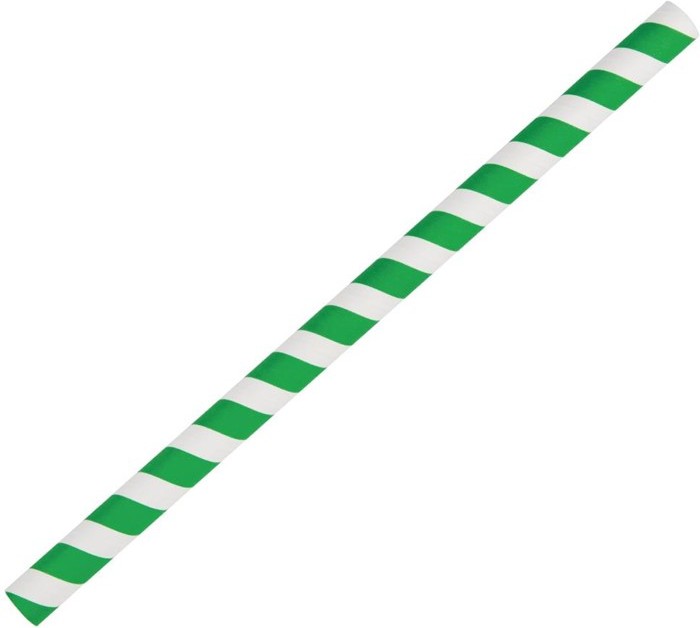  Fiesta Pailles &agrave; smoothie en papier Green vertes 21 cm 