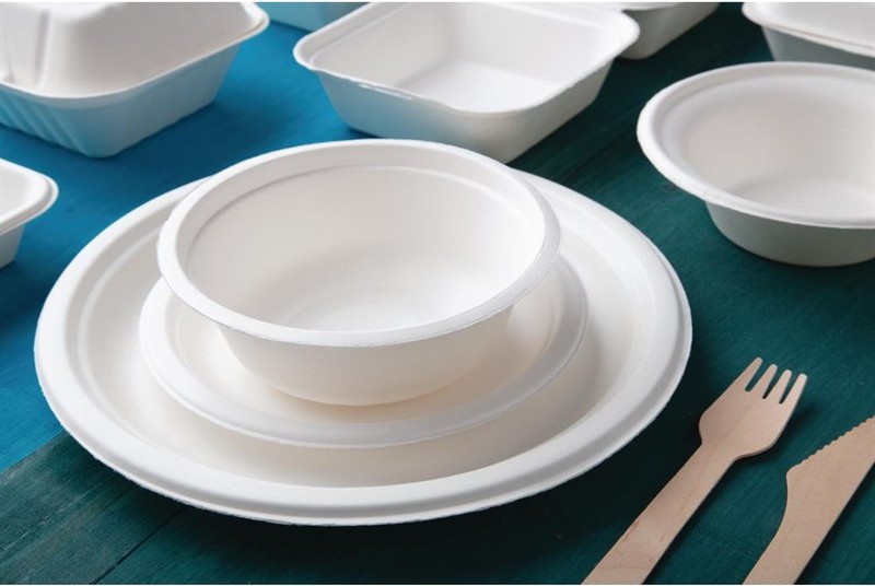  Fiesta Bols en bagasse compostables Green 151mm (x50) 