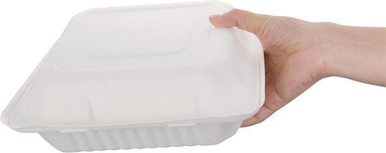  Fiesta Bo&icirc;tes avec couvercle &agrave; charni&egrave;re compostables en bagasse Green 236mm (lot de 200) 