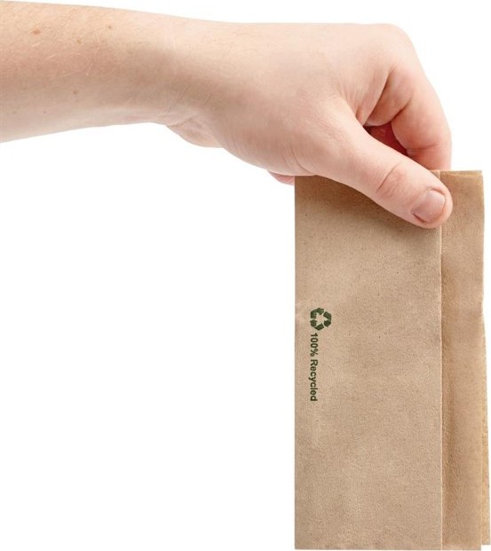  Fiesta Serviettes kraft recycl&eacute;es pli&eacute;es pour distributeur 320x300mm (lot de 6000) 