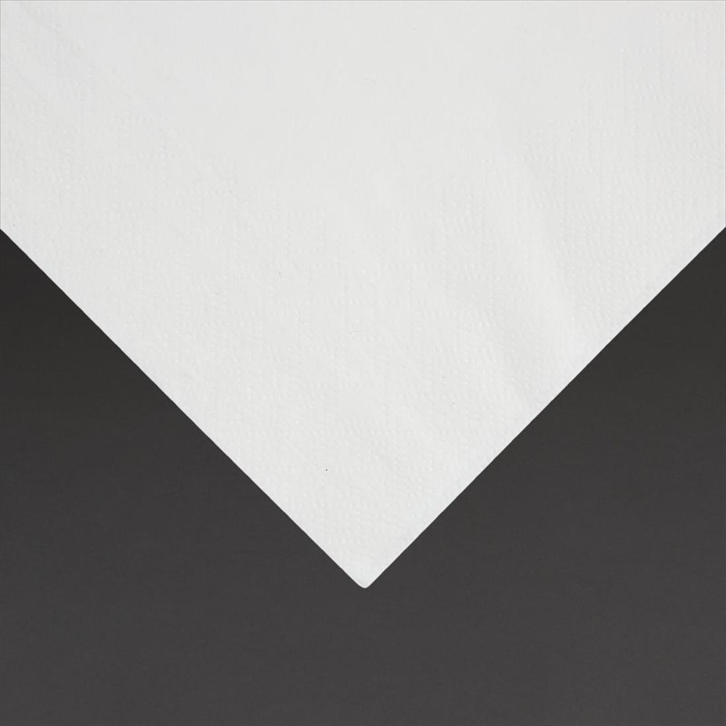  Fiesta Serviettes cocktail 1 pli format 1/4 300mm blanches (lot de 5000) 