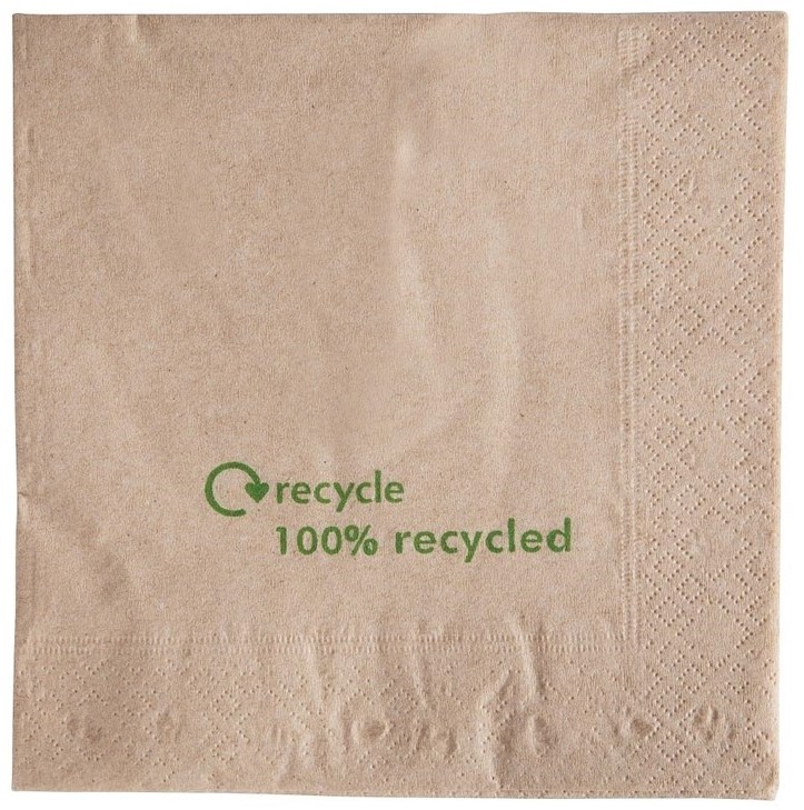  Gastronoble Serviettes double &eacute;paisseur en papier recycl&eacute; 