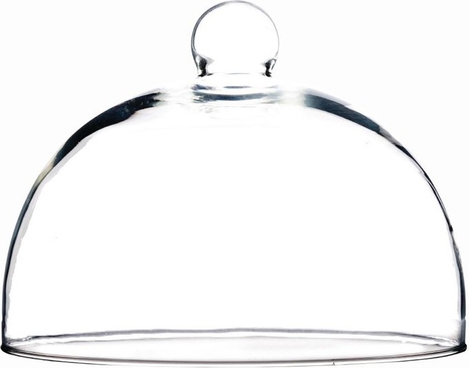  Gastronoble Cloche en verre 210mm 