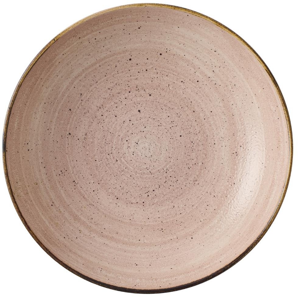  Churchill Bols Stonecast Raw Terracotta Evolve 248mm (Lot de 12) 