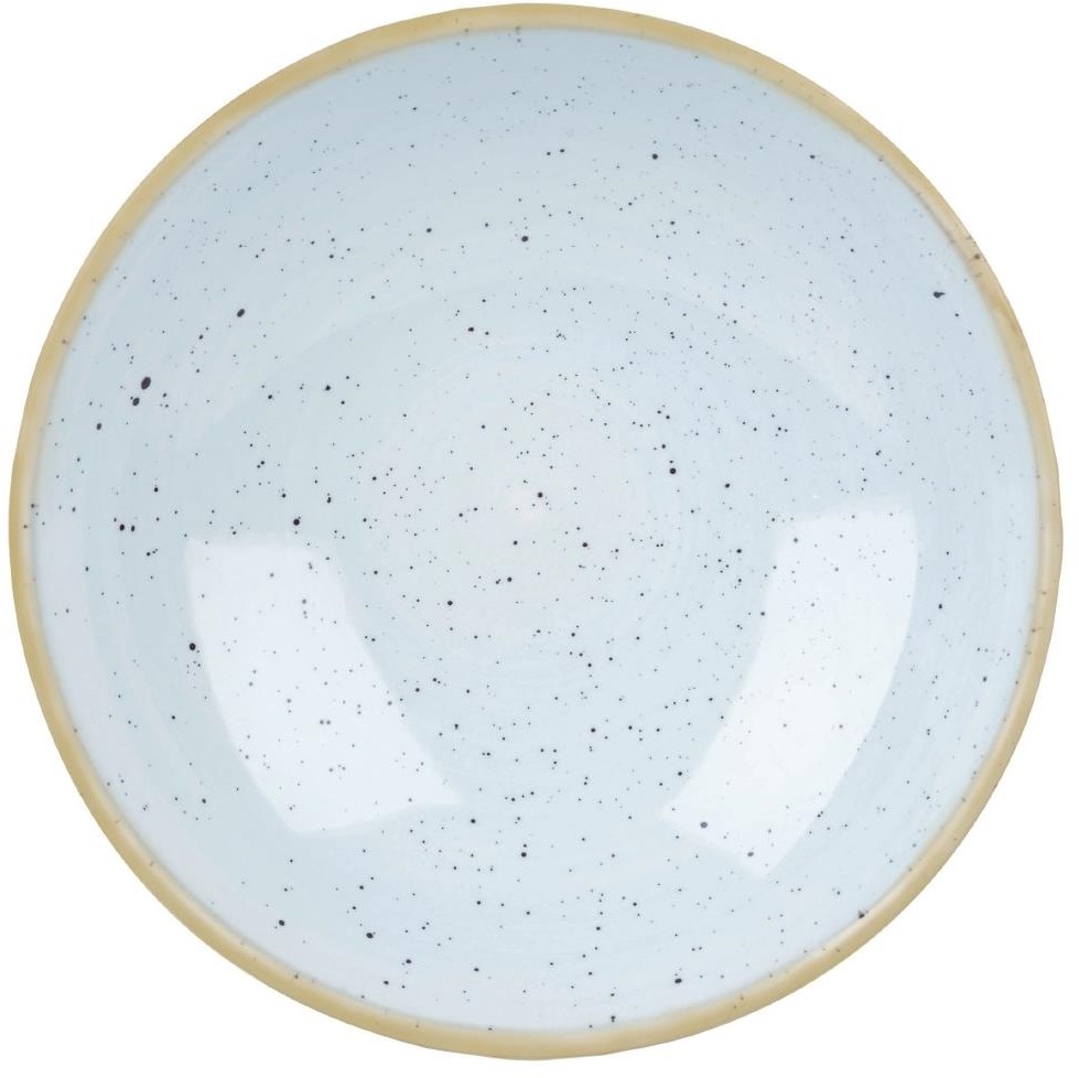  Churchill Assiettes coupes rondes Stonecast Duck Egg Blue 182mm (Lot de 12) 