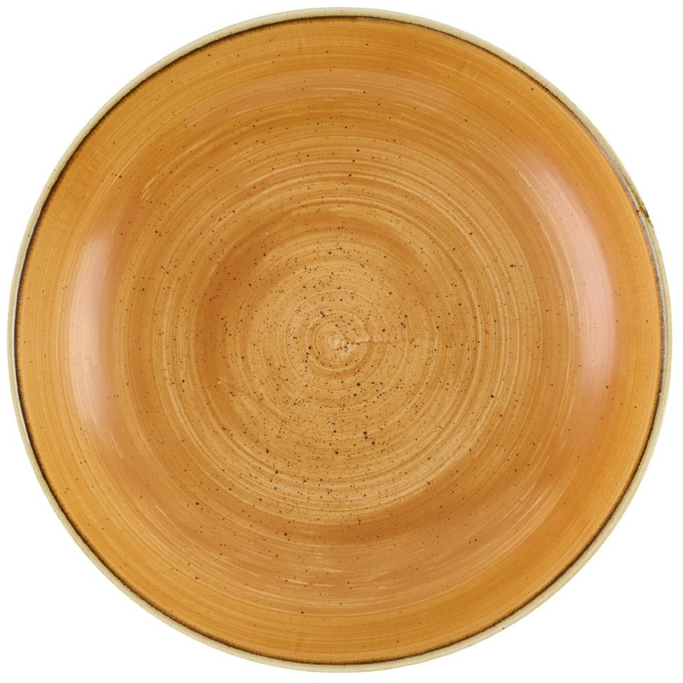  Churchill Bols Stonecast Tangerine 248mm (Lot de 12) 