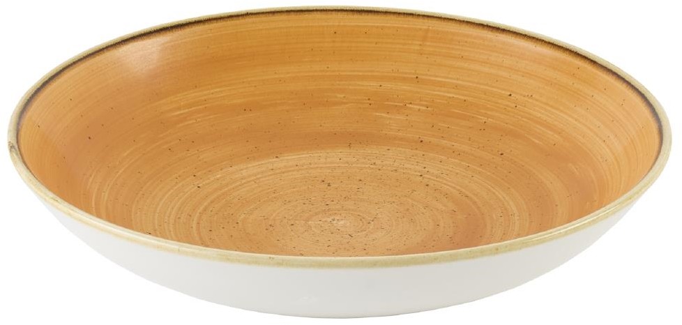  Churchill Bols Stonecast Tangerine 248mm (Lot de 12) 