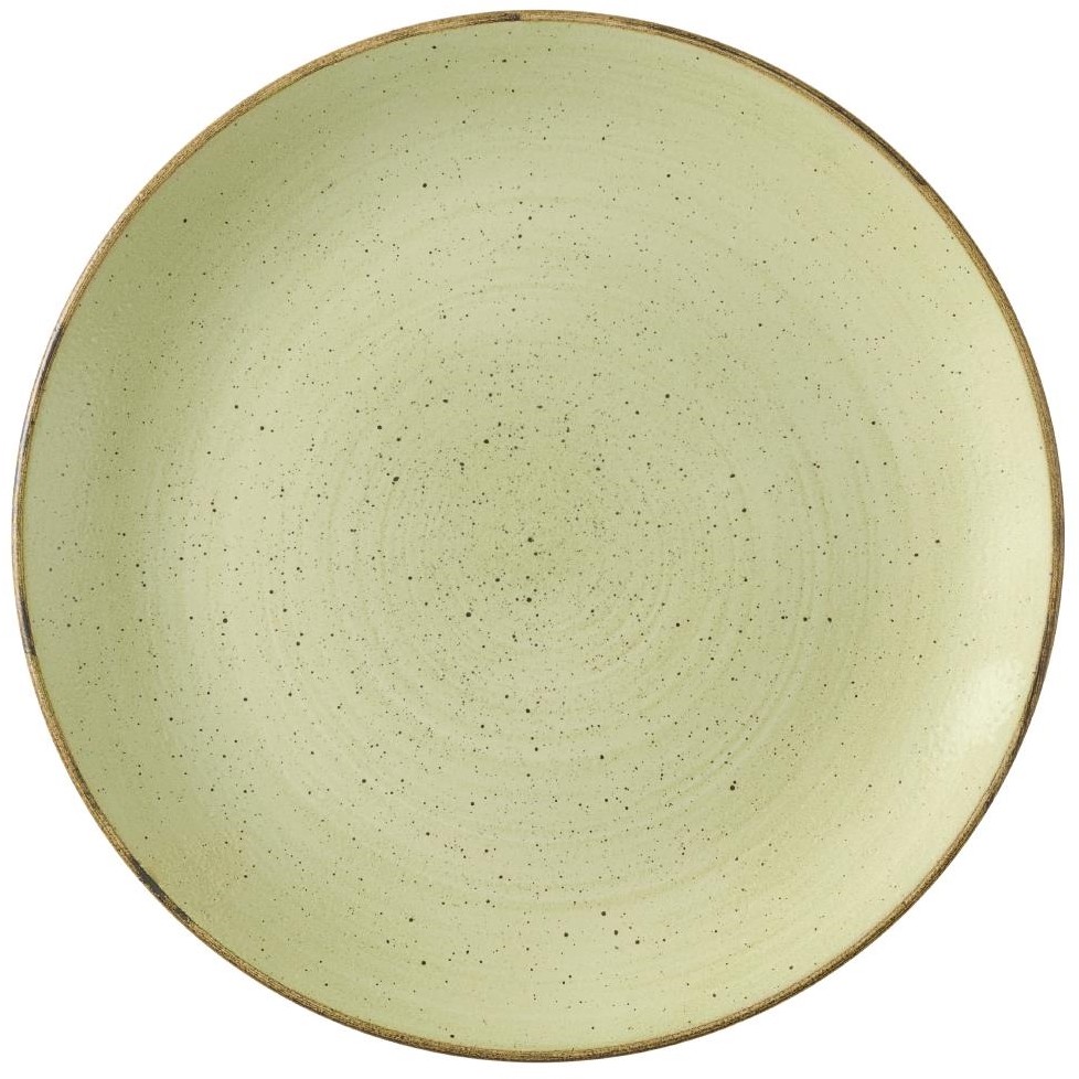  Churchill Assiettes avec rebord Stonecast Raw Green Evolve 220mm (Lot de 12) 