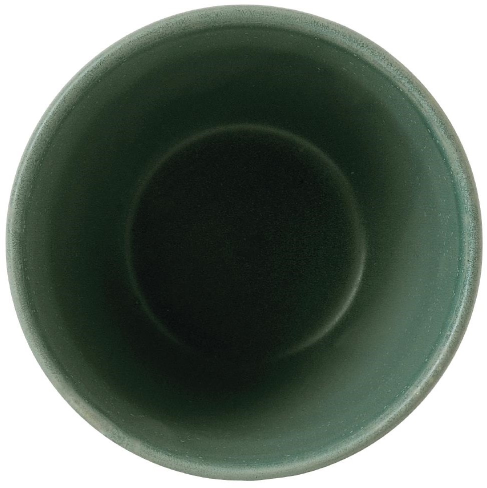  Churchill Pots &agrave; frites Super Vitrified Nourish Andorra Green 290ml (Lot de 12) 