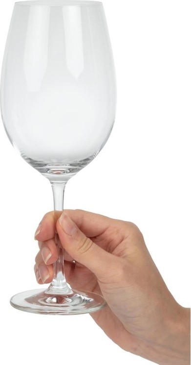  Schott Zwiesel Verres &agrave; vin rouge Ivento 480 ml (lot de 6) 