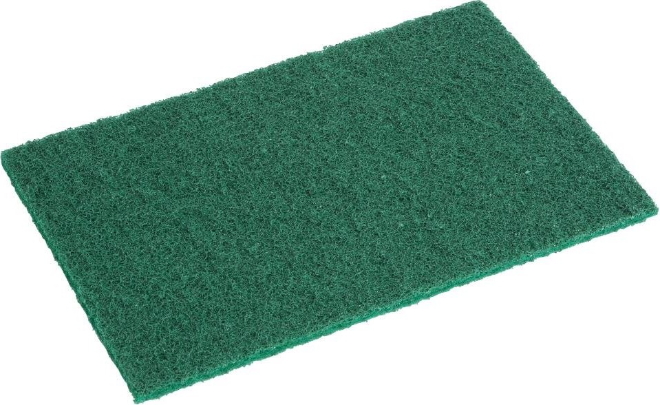 Jantex Grands tampons &agrave; r&eacute;curer verts (lot de 10) 