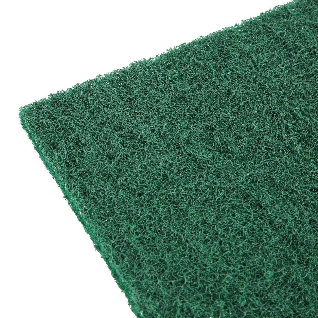  Jantex Grands tampons &agrave; r&eacute;curer verts (lot de 10) 